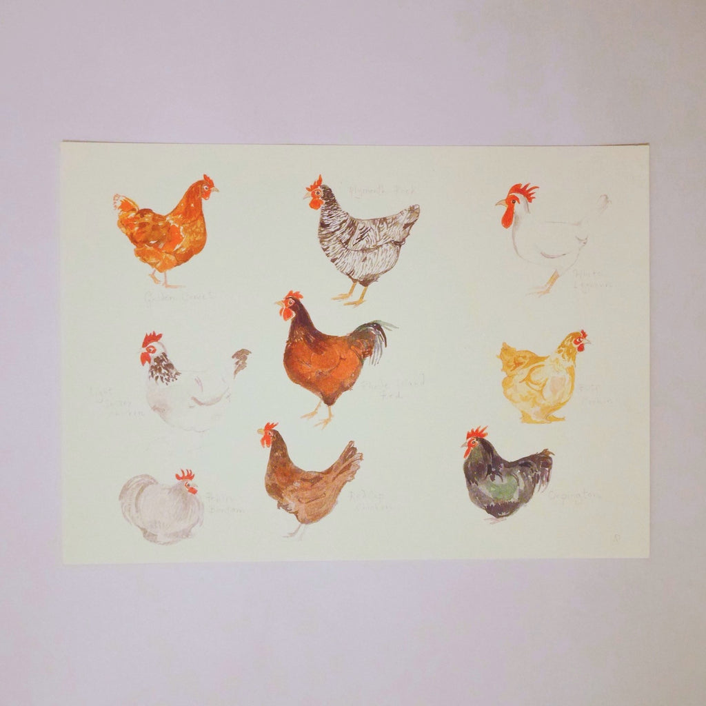 Chicken Breeds Print - Blue Bowl