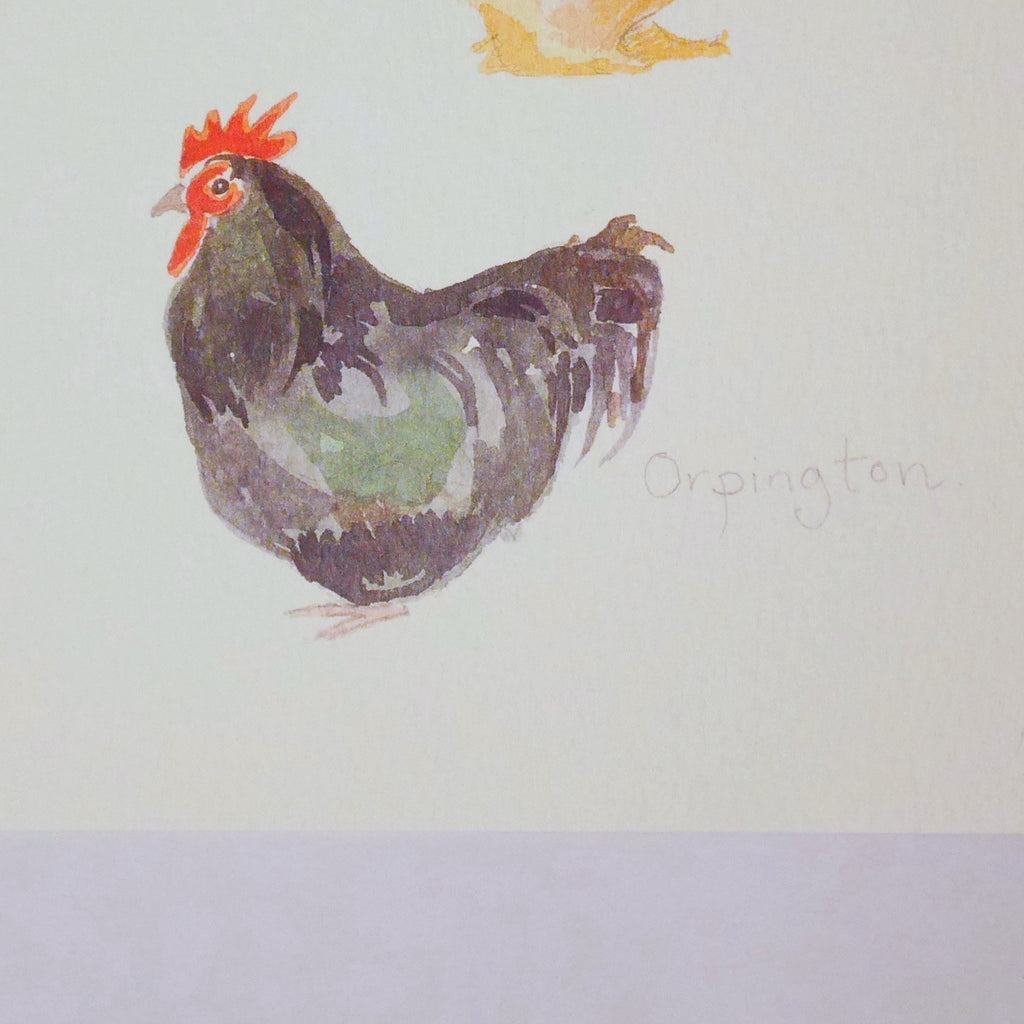 Chicken Breeds Print - Blue Bowl