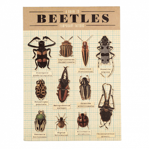 Beetle Tattoos