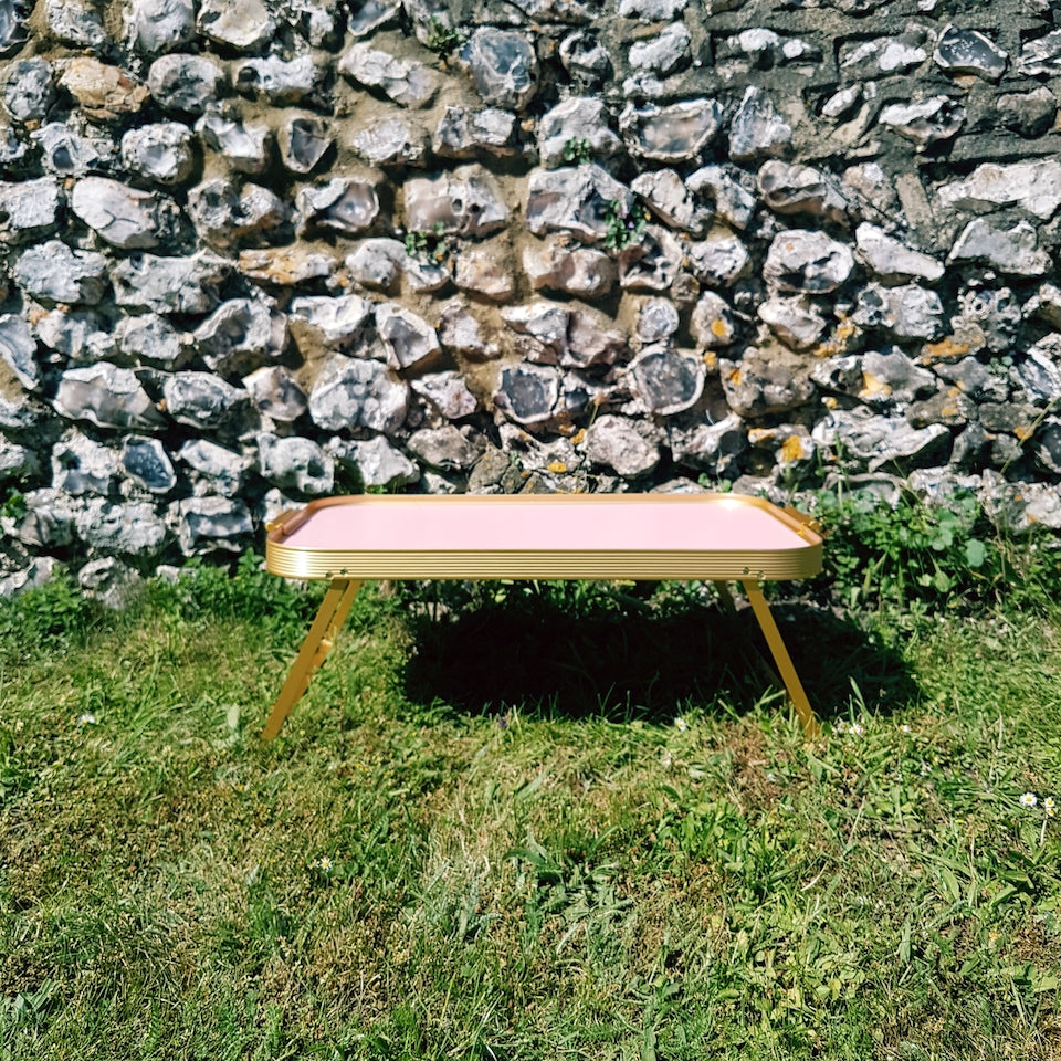 Lap Tray - Blue Bowl