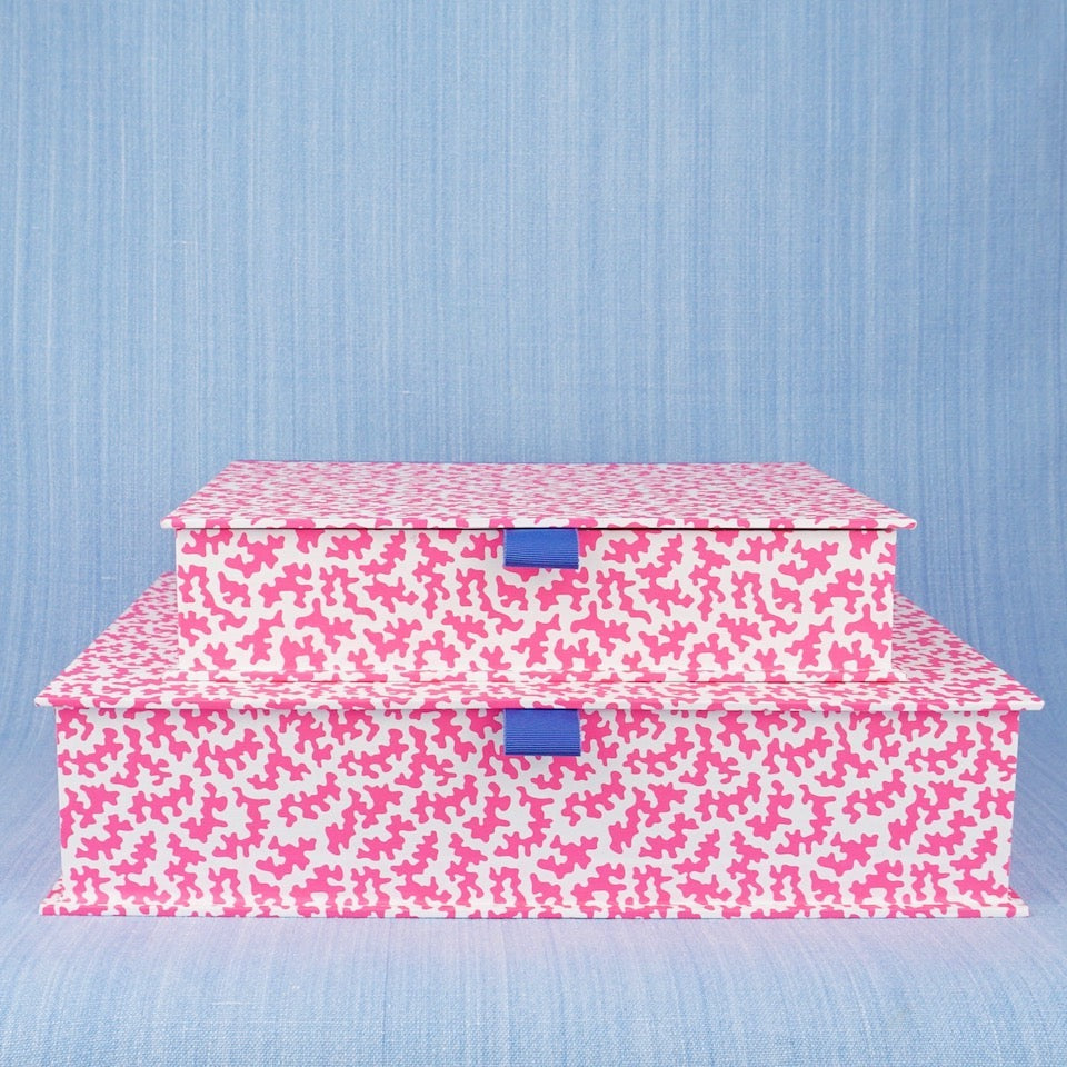 Squggle Box Squiggle Box File | Blue Bowl