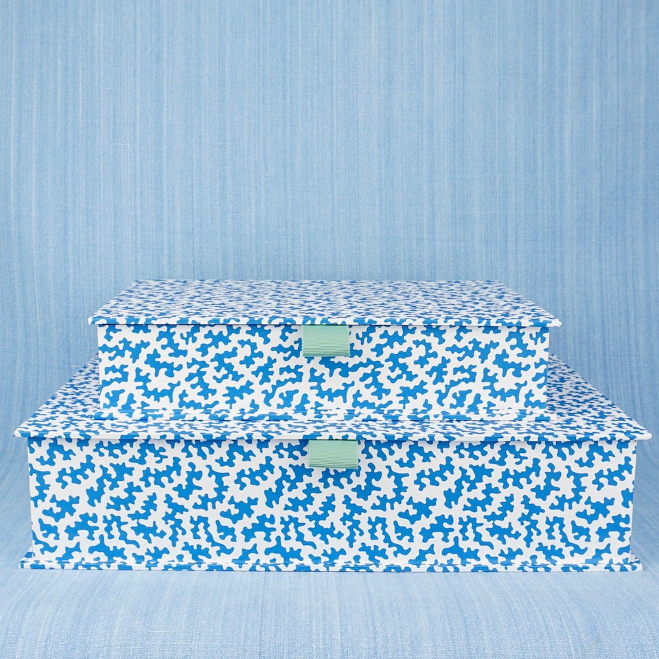 Squggle Box Squiggle Box File | Blue Bowl