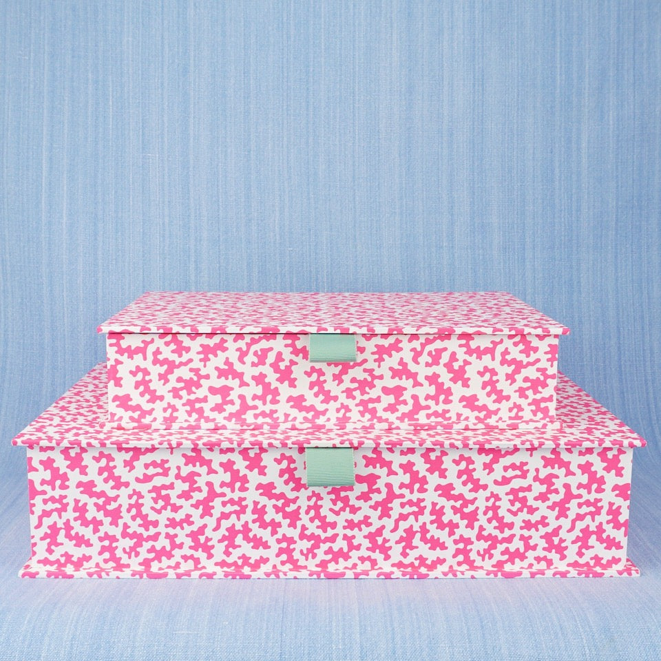 Squggle Box Squiggle Box File | Blue Bowl