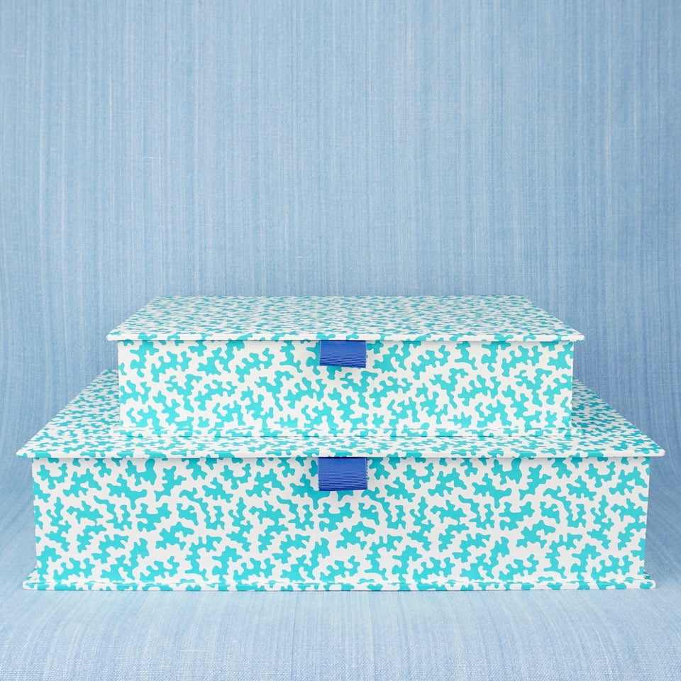 Squggle Box Squiggle Box File | Blue Bowl
