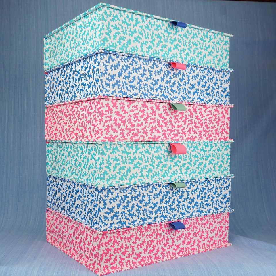 Squggle Box Squiggle Box File | Blue Bowl