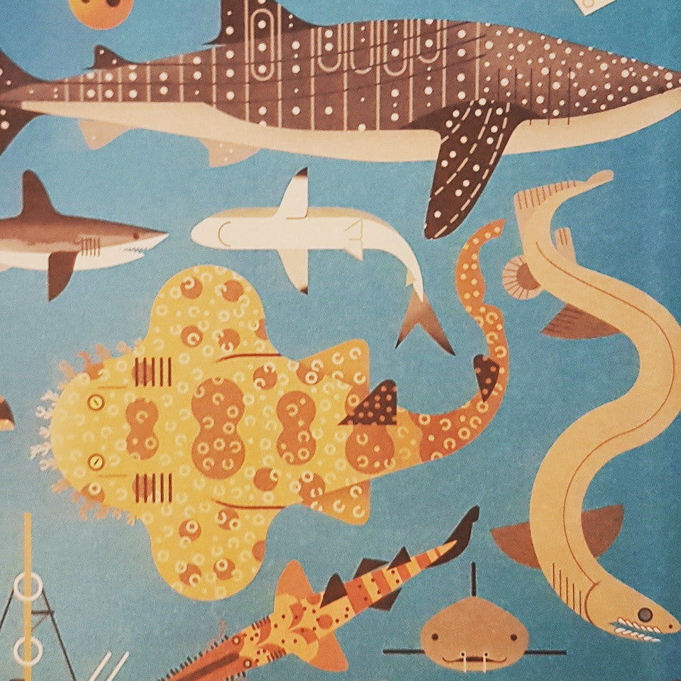 Animal Books by Owen Davey - Blue Bowl