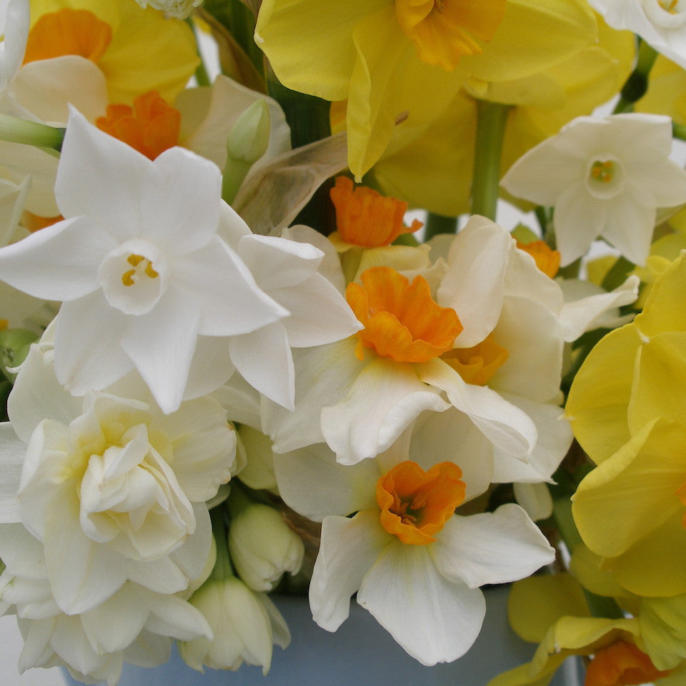 Spectacular Spring Flowers - Blue Bowl